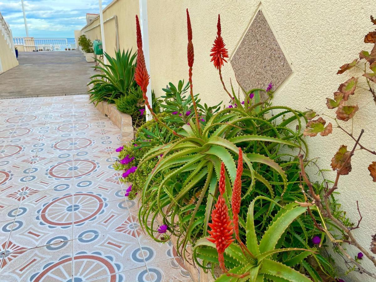 Royal House Vista Mar Chalet La Mata (Torrevieja)